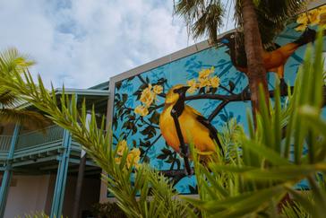 Aruba-inspired Art at The Mill Resort