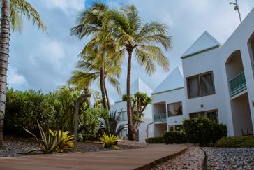 Palm beach Aruba Paradise views