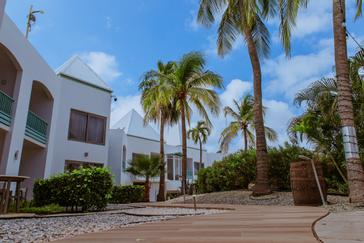 The Mill Resort Aruba | Noord | Photos 25