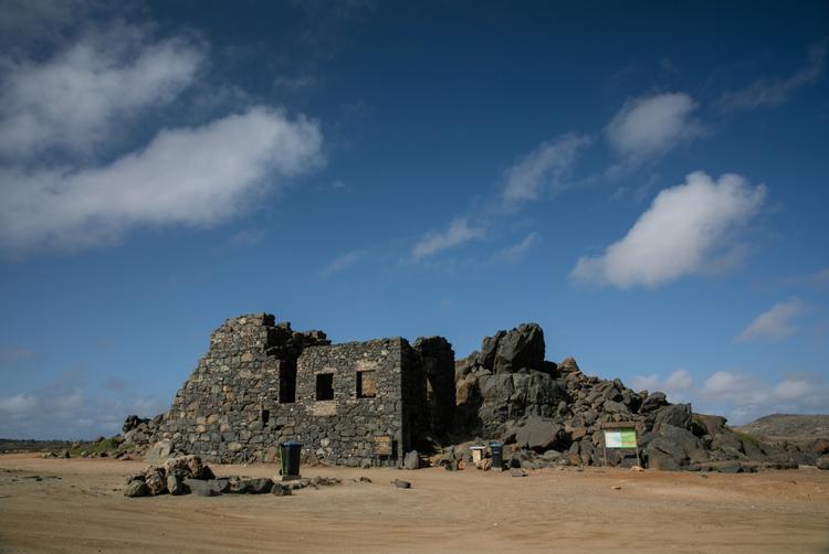 The Mill Resort Aruba | Noord | 5