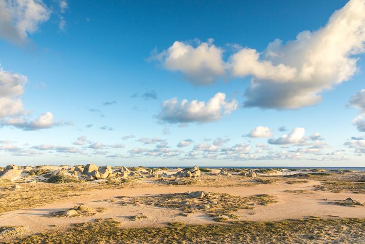 The Mill Resort Aruba | Noord | 6