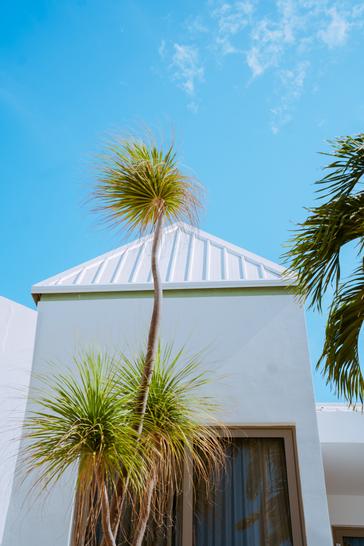 The Mill Resort Aruba | Noord | Photos 21